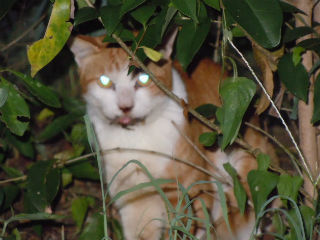 DSCN0368.jpg