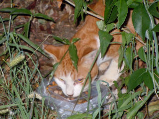 DSCN0370.jpg