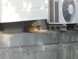 DSCN2814.jpg