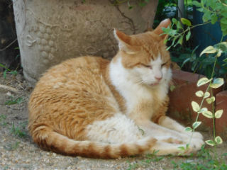DSCN2910.jpg