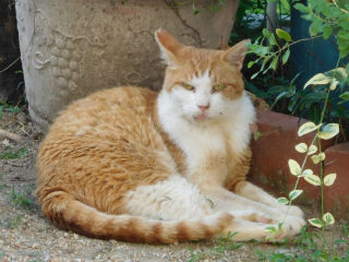 DSCN2913.jpg
