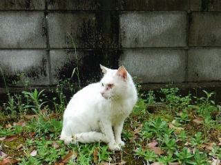 KIMG0294.jpg